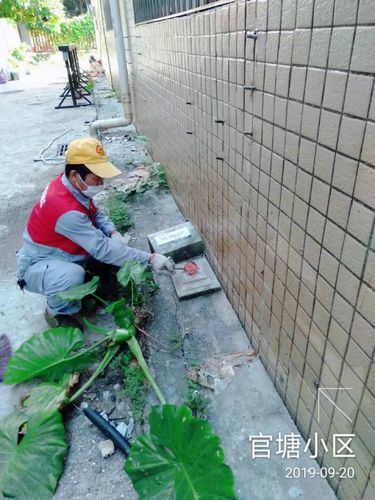 2019-9-20 中亿远环保科技对南湾街道进行病媒生物防治 - 美