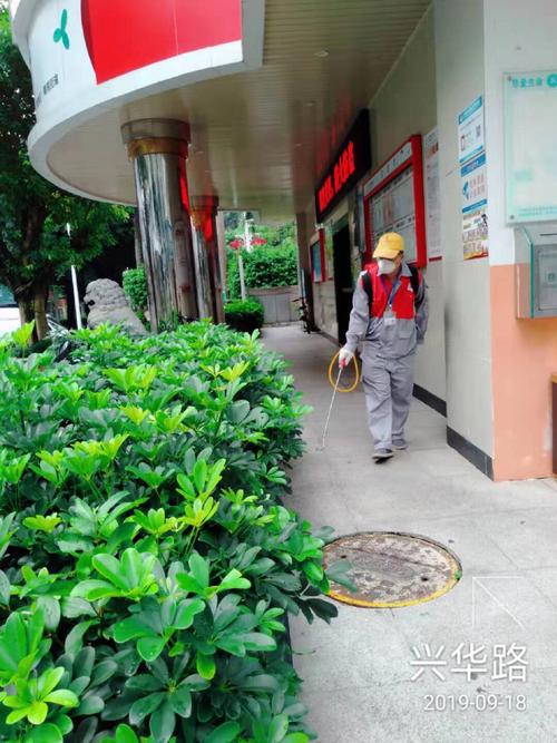 2019-9-18 中亿远环保科技对南湾街道进行病媒生物防治 - 美