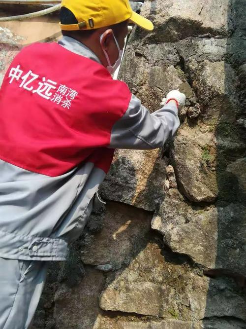 2019年3月19日深圳市中亿远环保科技有限责任公司对南湾街道进行病媒