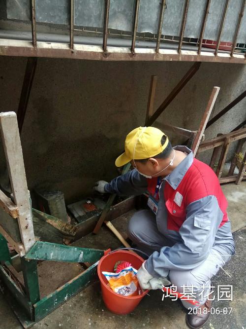 6-7病媒生物防治中亿远环保科技日常处理孳生地作业图片